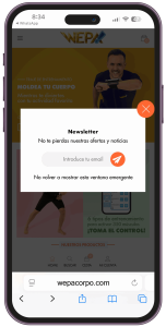 Newsletter-wepa